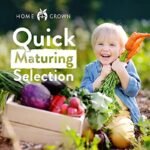 Pack De Graines De Légumes D&rsquo;hiver Pour Votre Jardin Maison