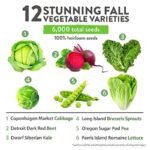 Pack De Graines De Légumes D&rsquo;hiver Pour Votre Jardin Maison