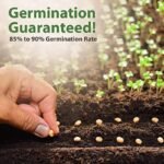 Pack De Graines De Légumes D&rsquo;hiver Pour Votre Jardin Maison