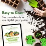 Pack De Graines De Légumes D&rsquo;hiver Pour Votre Jardin Maison