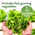 Pack De Graines De Légumes D&rsquo;hiver Pour Votre Jardin Maison