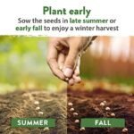 Pack De Graines De Légumes D&rsquo;hiver Pour Votre Jardin Maison