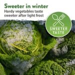 Pack De Graines De Légumes D&rsquo;hiver Pour Votre Jardin Maison