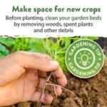 Pack De Graines De Légumes D&rsquo;hiver Pour Votre Jardin Maison
