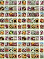Paquet De Graines De Fleurs : 1000 Semences Pour Un Jardin éblouissant