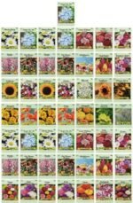 Paquet De Graines De Fleurs : 1000 Semences Pour Un Jardin éblouissant