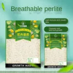 Perlite Pour Améliorer Le Drainage Dans Le Mélange De Sol Succulent