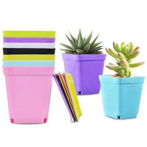 Ensemble de Pots de Plantes