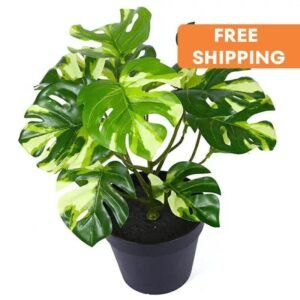 plante artificielle dill leaf a feuilles turtle back pour votre deco artificial plants 511 1