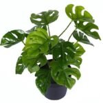 plante artificielle dill leaf a feuilles turtle back pour votre deco artificial plants 670 1