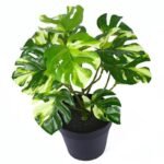 plante artificielle dill leaf a feuilles turtle back pour votre deco artificial plants 810 1