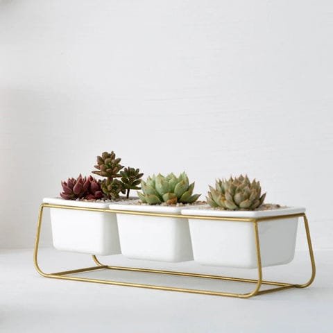 Pot De Fleurs En Céramique Pour Une élégance Intemporelle 2 POT DE FLEURS EN CÉRAMIQUE AVEC SUPPORT