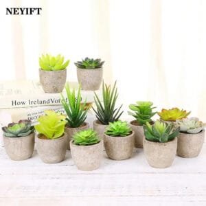 Plantes Artificielles: Bonsai Et Succulentes Pour La Décoration Intérieure