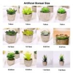 plantes artificielles bonsai et succulentes pour la decoration interieure artificial 776 1