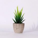 plantes artificielles bonsai et succulentes pour la decoration interieure style 11 578 1