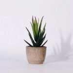 plantes artificielles bonsai et succulentes pour la decoration interieure style 12 291 1