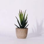 Plantes Artificielles: Bonsai Et Succulentes Pour La Décoration Intérieure - Style 12