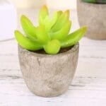 Plantes Artificielles: Bonsai Et Succulentes Pour La Décoration Intérieure - Style 2