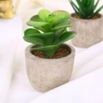 plantes artificielles bonsai et succulentes pour la decoration interieure style 3 196 1
