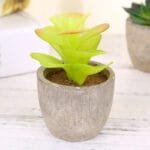Plantes Artificielles: Bonsai Et Succulentes Pour La Décoration Intérieure - Style 4