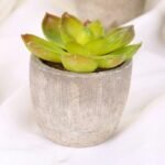 plantes artificielles bonsai et succulentes pour la decoration interieure style 6 998 1