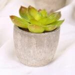 Plantes Artificielles: Bonsai Et Succulentes Pour La Décoration Intérieure - Style 6