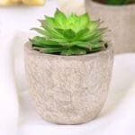 Plantes Artificielles: Bonsai Et Succulentes Pour La Décoration Intérieure - Style 8