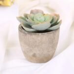 plantes artificielles bonsai et succulentes pour la decoration interieure style 9 790 1