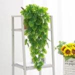 Plantes Artificielles De Fougère Persane Pour Décoration Intérieure