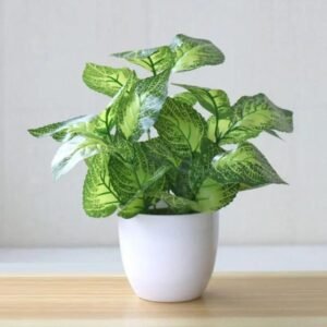 plantes grasses artificielles pour embellir votre espace sans entretien 321 1
