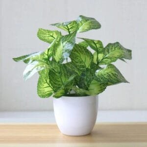 Plantes Graminées Artificielles Pour Embellir Votre Espace Sans Entretien