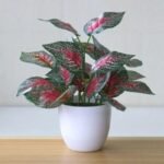 plantes grasses artificielles pour embellir votre espace sans entretien 762 1