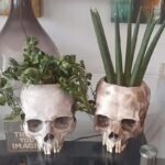 Planteur En Forme De Crâne Pour Une Touche D&rsquo;Halloween élégante