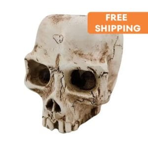 Planteur En Forme De Crâne Pour Une Touche D’halloween élégante