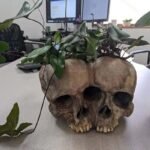 Planteur En Forme De Crâne Pour Une Touche D&rsquo;Halloween élégante