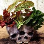 Planteur En Forme De Crâne Pour Une Touche D&rsquo;Halloween élégante