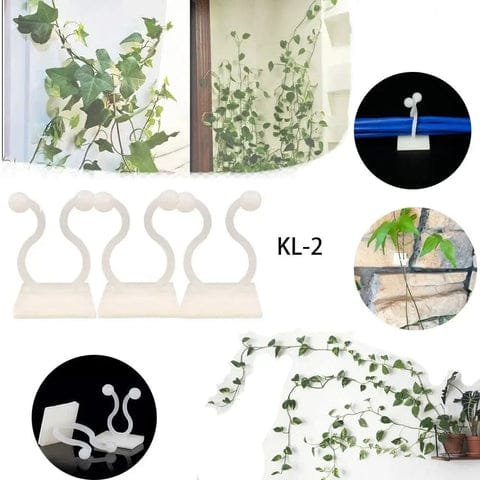 Clips Invisibles Pour Soutenir Vos Plantes Grimpantes élégamment 4 Clips en Plastique Pour Plantes Grimpantes
