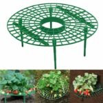 Porte-plante En Cadre Pour Fraises, Esthétique Et Pratique