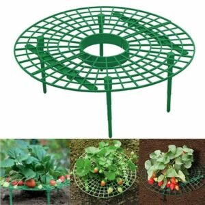 Porte-plante En Cadre Pour Fraises, Esthétique Et Pratique