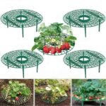 Porte-plante En Cadre Pour Fraises, Esthétique Et Pratique