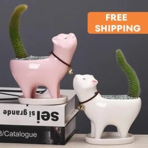 pot de fleurs cat meat cactus pour vos succulentes amusantes planting pots 394 1