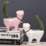 pot de fleurs cat meat cactus pour vos succulentes amusantes planting pots 431 1