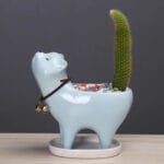 Pot De Fleurs Cat Meat Cactus Pour Vos Succulentes Amusantes