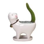 pot de fleurs cat meat cactus pour vos succulentes amusantes planting pots 624 1