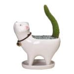 Pot De Fleurs Cat Meat Cactus Pour Vos Succulentes Amusantes