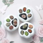Pot De Fleurs En Céramique Blanche Avec Design Griffes De Chat