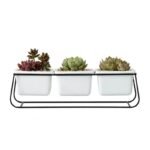 pot de fleurs en ceramique pour une elegance intemporelle 733 1