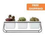pot de fleurs en ceramique pour une elegance intemporelle 934 1