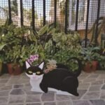 Pot De Fleurs En Forme De Chat Pour Jardin Extérieur Durable