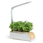 Pot De Fleurs Intelligent Avec Irrigation Automatique Et Led Grow - Jaune / états-unis